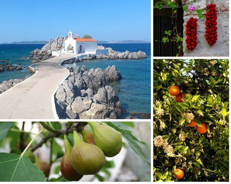 chios sp&eacute;cialit&eacute;s culinaires