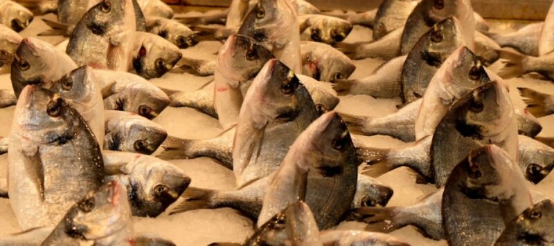 marche-central-athenes-poissons