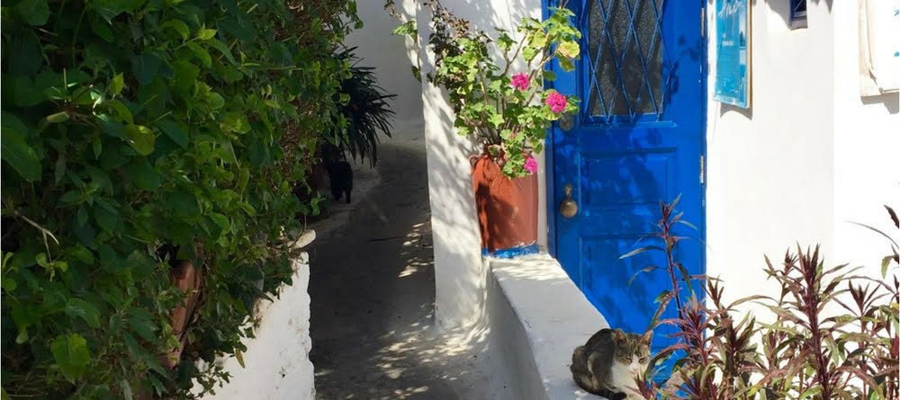 Découverte du quartier Anafiotika à Athènes