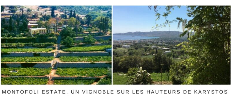 Domaine de montofoli