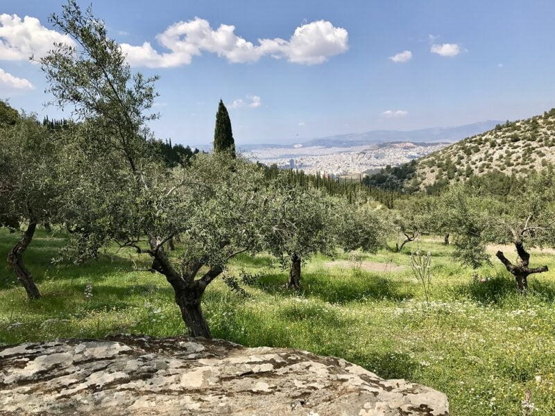 Visiter Athènes : La vue depuis la forêt de Kaisariani Kessariani