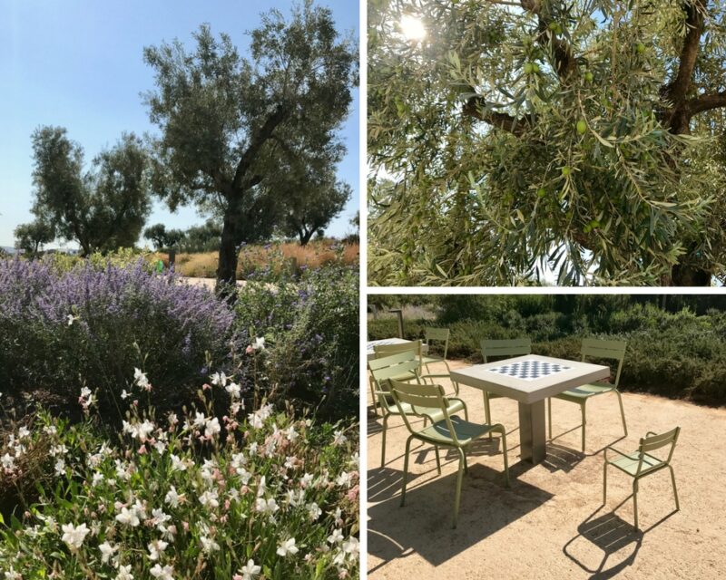 Espace vert &agrave; Ath&egrave;nes : le parc Stavros Niarchos