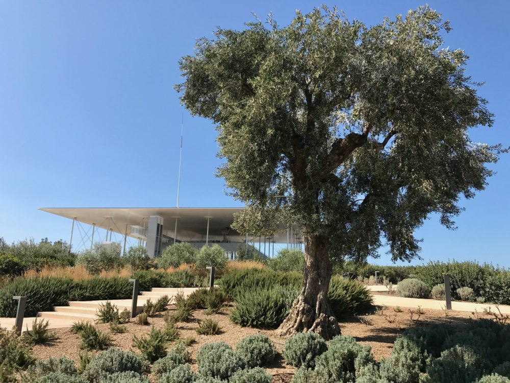 Le parc du centre Stavros Niarchos à Athènes