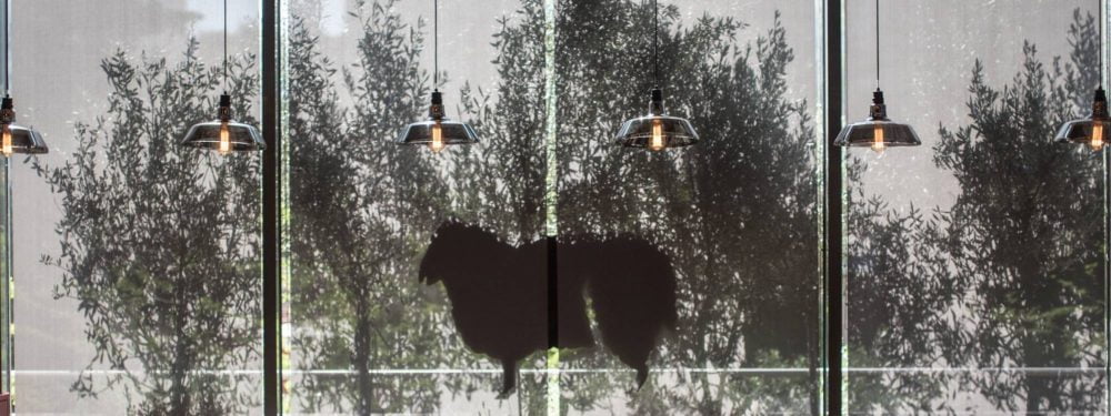 Mavro Provato taverne bon restaurant grec athenes