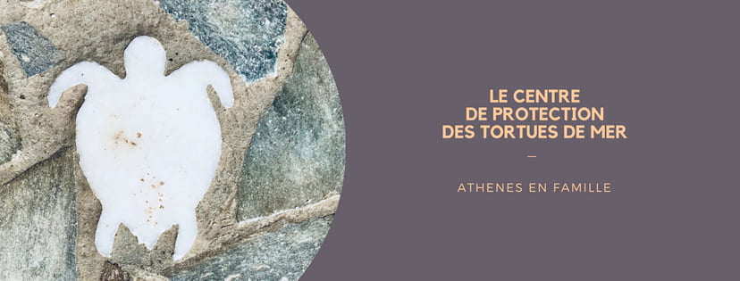 Enfants Athènes : le centre de protection des tortues de mer