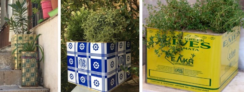 recyclage boites feta olives huile plantes athenes