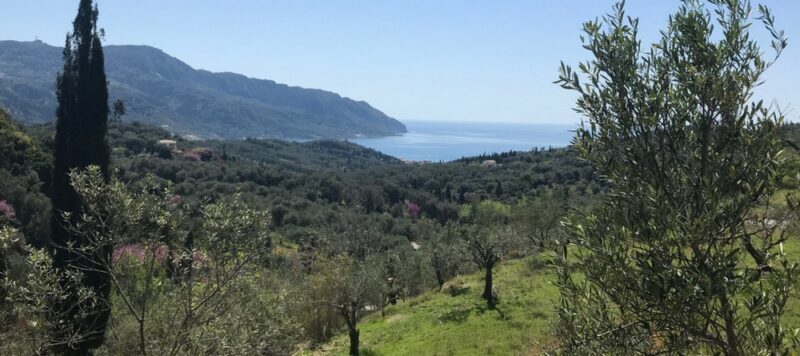 Choisir un hotel à Corfou en Grèce