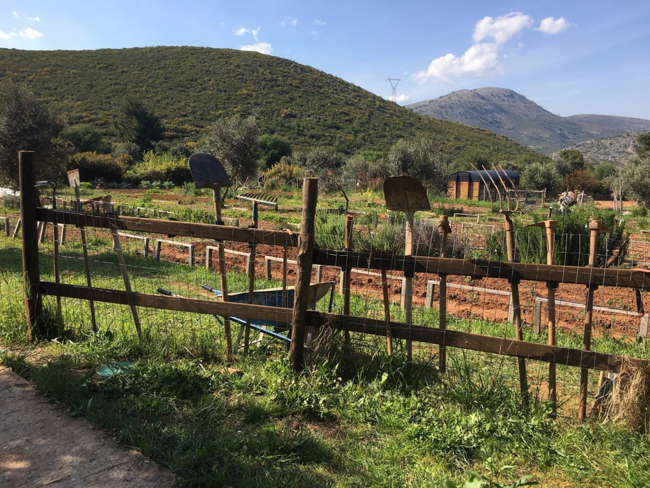 farmamoo jardins collectifs, potagers, ferme athènes nea makri