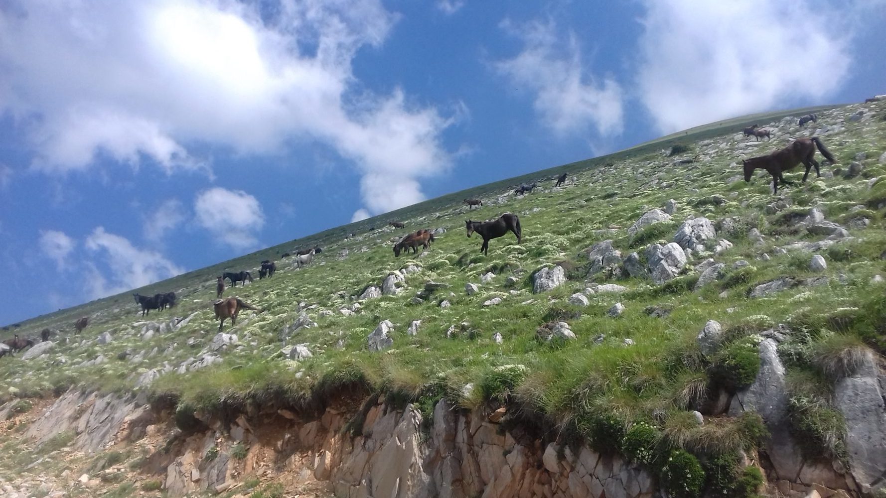 excursions sur le mont olympe aventures jeep randonnées