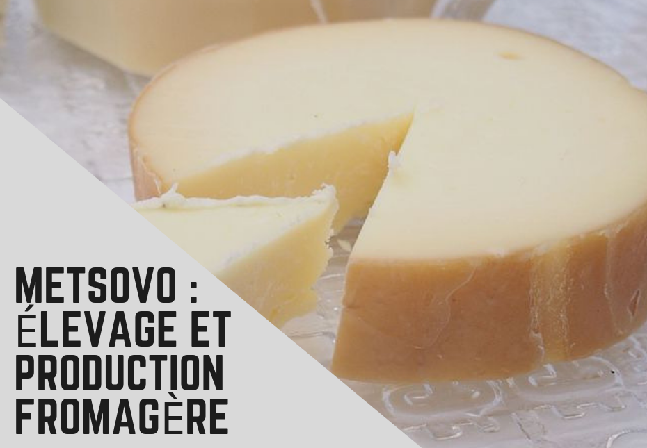 Le fromage fumé de Metsovo