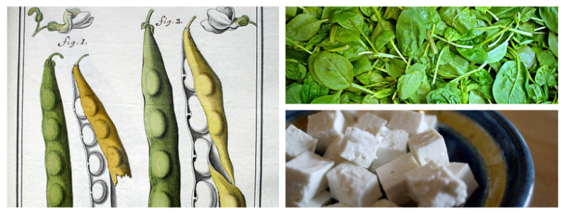 cuisine grecque : recette des haricots géants aux épinards et à la feta