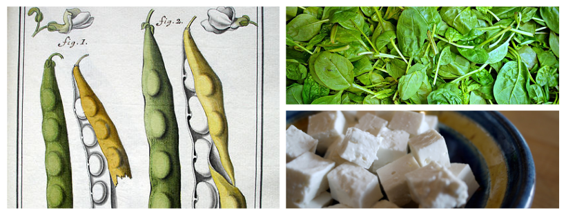 cuisine grecque : recette des haricots géants aux épinards et à la feta