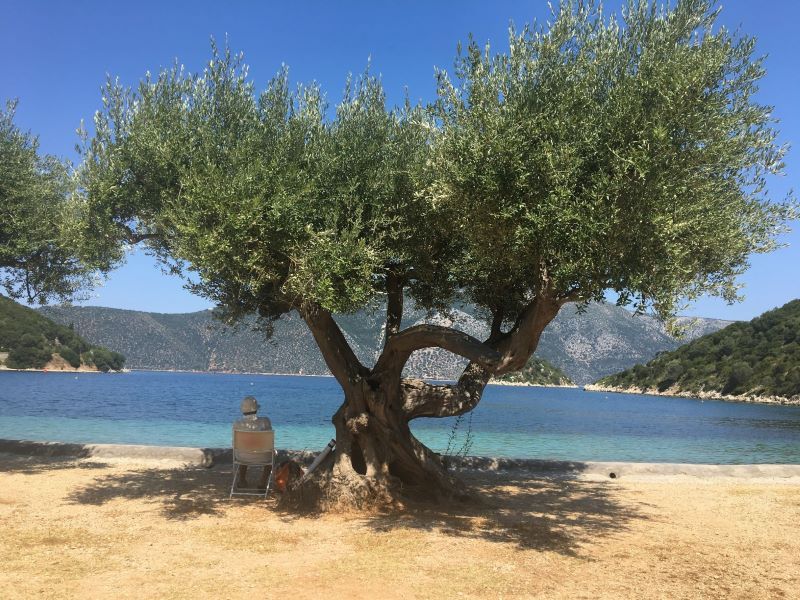 où dormir à Ithaque se loger à Ithaque logement maison à louer hotels appartement studio chambres