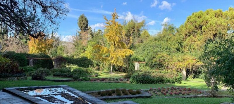 Athènes hors des sentiers battus : visite mythologie et plantes médicinales