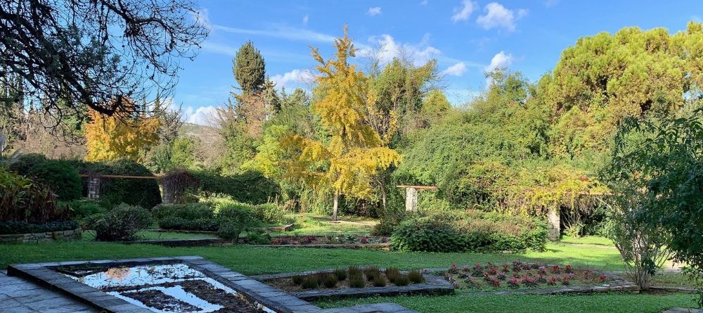 Athènes hors des sentiers battus : visite mythologie et plantes médicinales