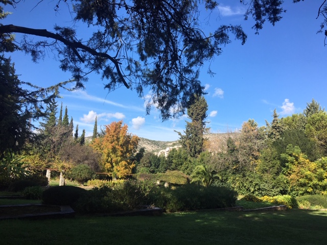 Ath&egrave;nes hors des sentiers battus : visite mythologie et plantes m&eacute;dicinales au jardin botanique d'Ath&egrave;nes