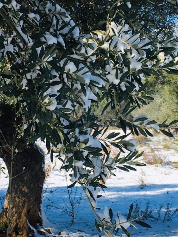 Destinations pour un hiver en Grèce