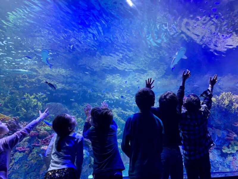 xplore athenes - activit&eacute; enfants ath&egrave;nes