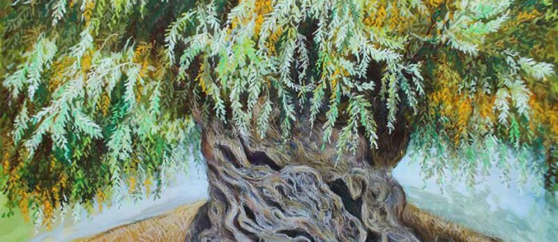 stage de dessins en Cr&egrave;te Pascaline bossu