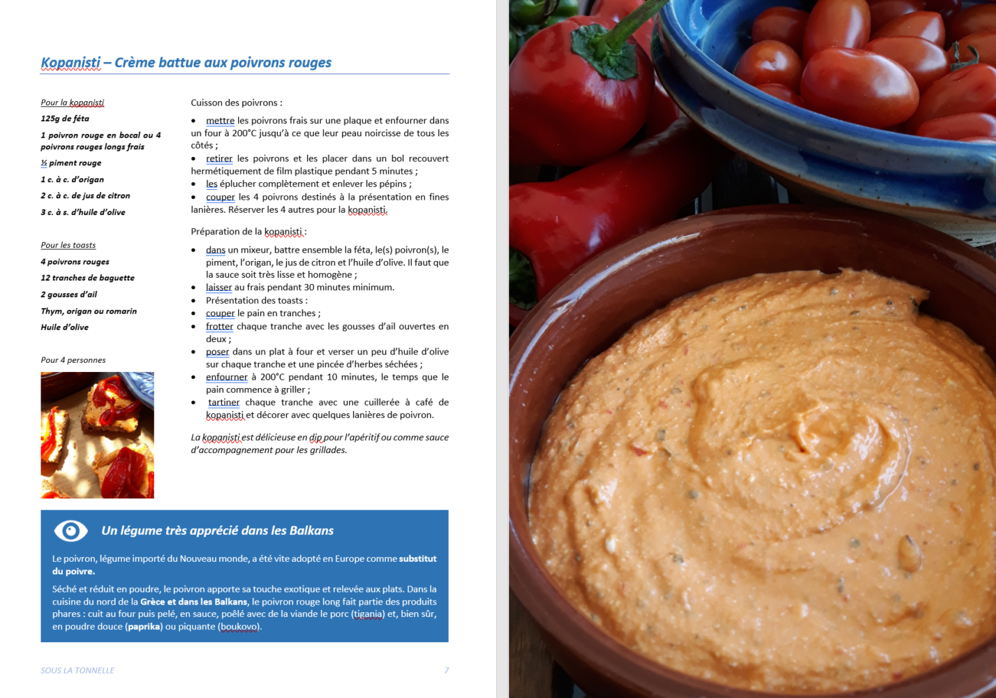 livre de recettes grecques cuisine grecque 80 recettes