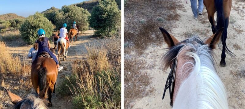 Que faire à Kos en Grèce ?