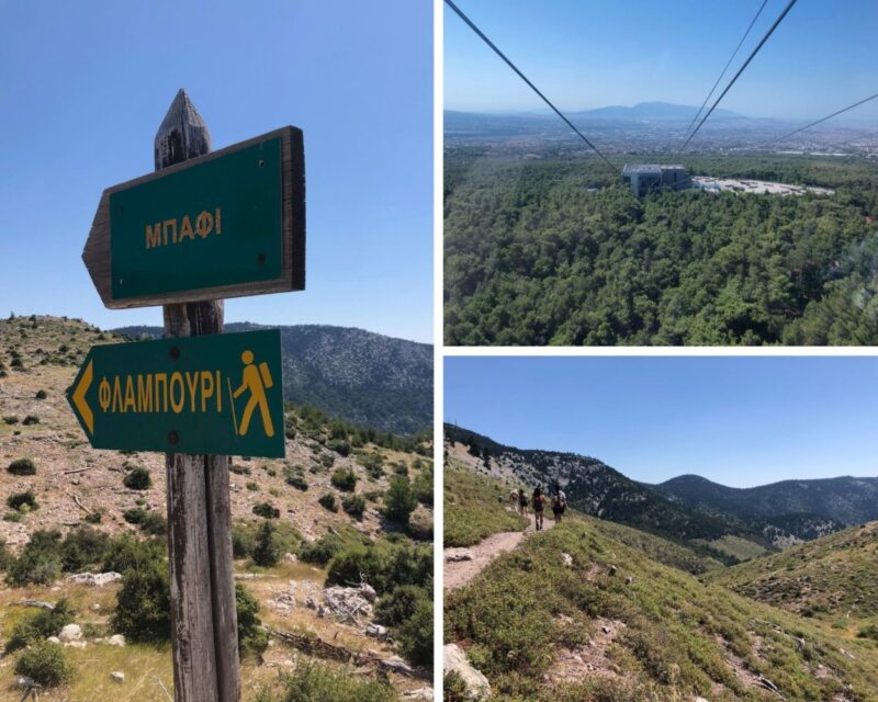 randonn&eacute;e autour d'Ath&egrave;nes dans la for&ecirc;t de Tatoi