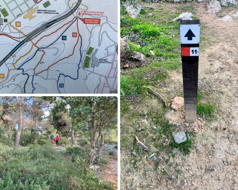 Randonn&eacute;e &agrave; Ath&egrave;nes sur le mont Hymette