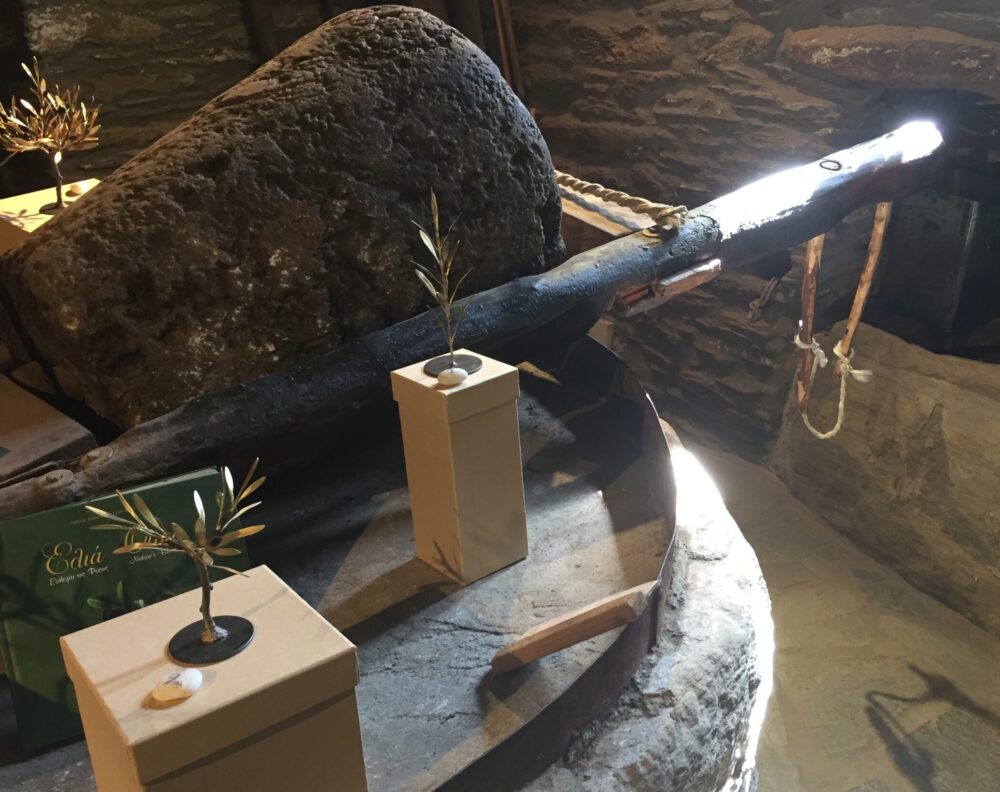 Cyclades, que faire &agrave; Andros ?