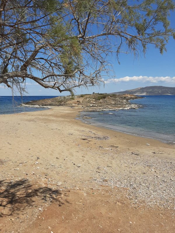 Balade à la journée autour d'Athènes : le site de Thorikos et Koutaka Mikrolimanou