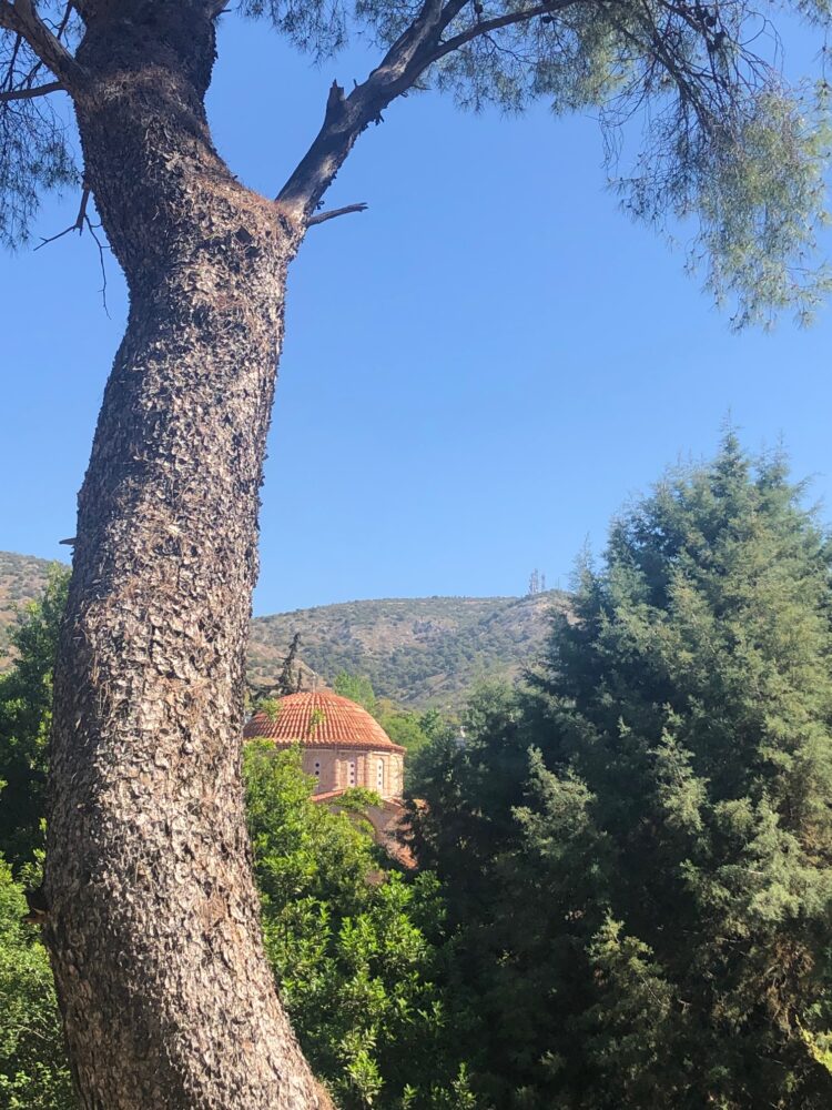 vue du monastere de Dafni