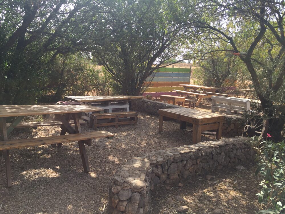 Donkeysland, un lieu d&eacute;di&eacute; &agrave; l'&acirc;ne