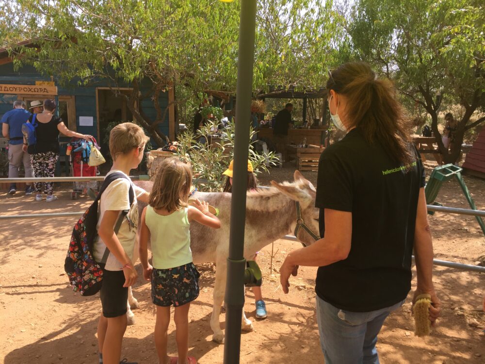 Donkeysland, un lieu d&eacute;di&eacute; &agrave; l'&acirc;ne