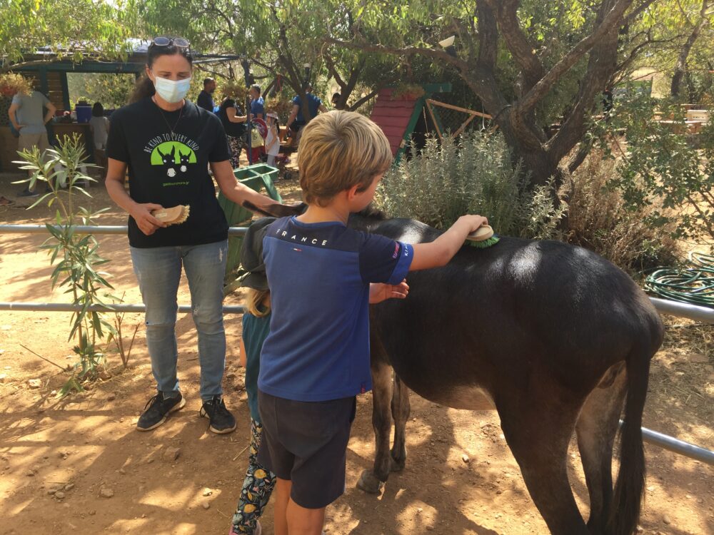 Donkeysland, un lieu d&eacute;di&eacute; &agrave; l'&acirc;ne