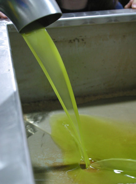 huile d'olive press&eacute;e &agrave; froid