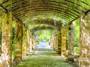 visite guidée athènes instagram photos