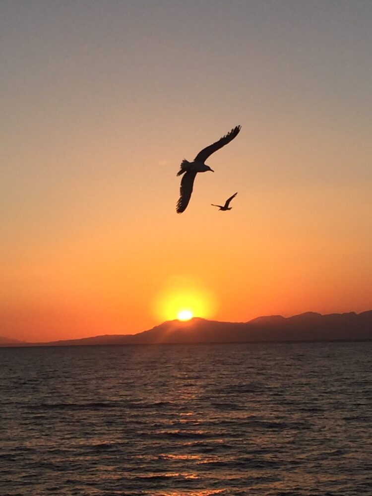 Les plus beaux couchers de soleil d'Athènes