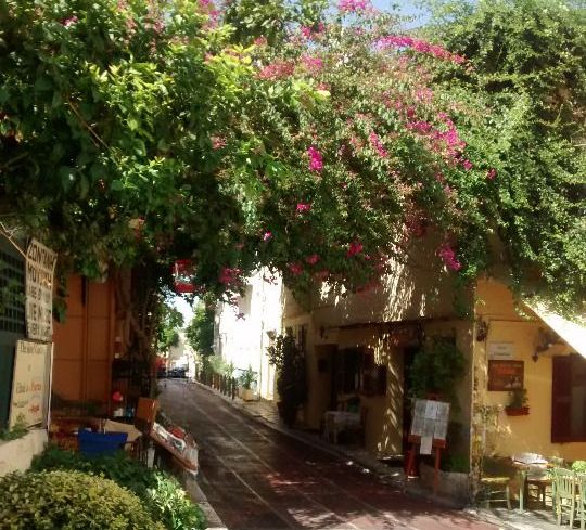 Quartier Athènes : Rue fleurie dans Plaka à Athènes