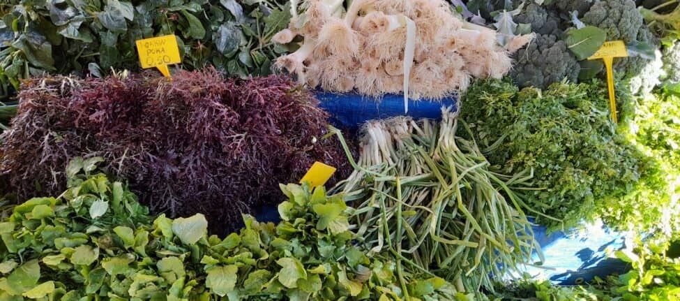herbes aromatiques fraiches au marché