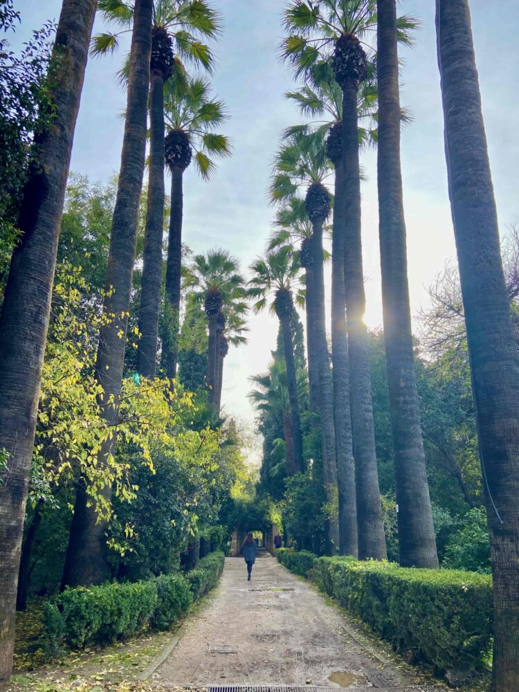 Jardin national à Athènes