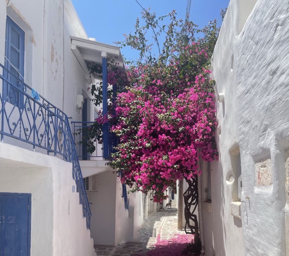 Parikia, une rue dans la ville, Paros