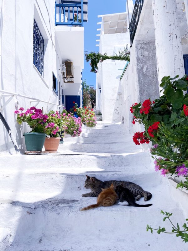 Ruelles de Chora, centre de Mykonos