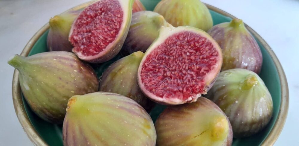 figue, fruit de l'&eacute;t&eacute; indien grec