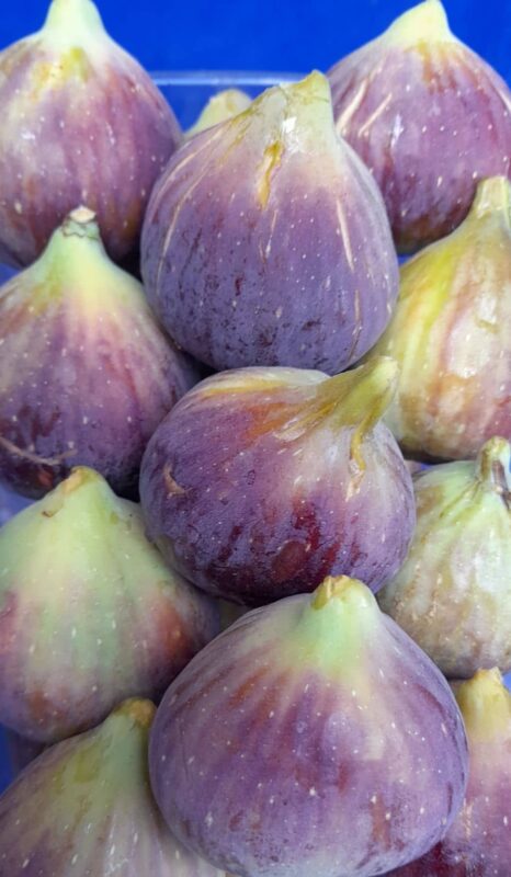 Petit tas de figues grecques
