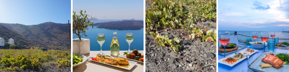 Frise de vignes et vins de Santorin