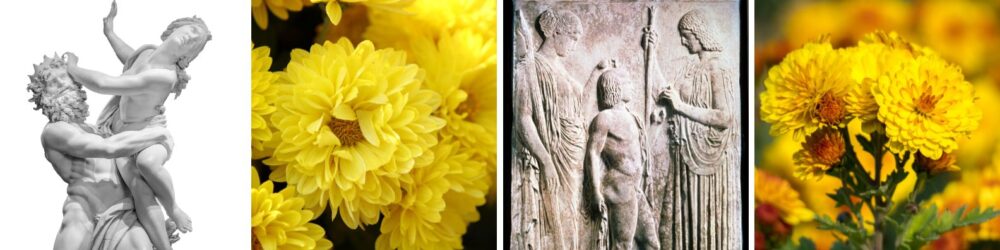 persephone, chrysanth&egrave;me, mythe de l'automne en Gr&egrave;ce