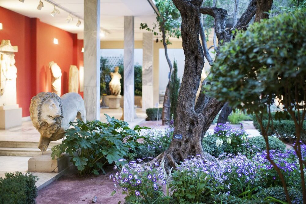 patio du caf&eacute; du mus&eacute;e arch&eacute;ologique &agrave; Ath&egrave;nes