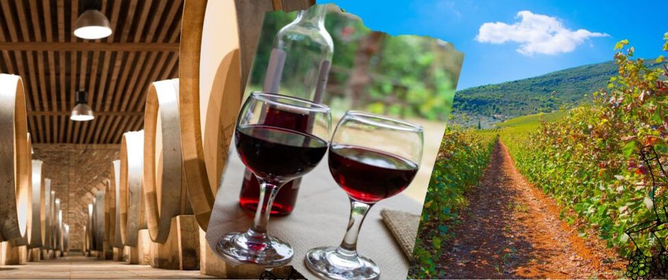 route des vins à Némée, Nemea dans le Péloponnèse