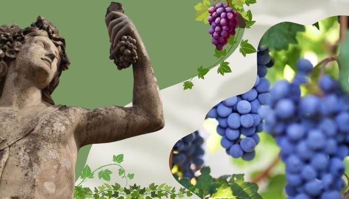 Bacchus Dionysos Dionysus