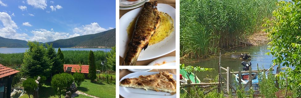 Restaurant Agios Achillios &agrave; Prespes, vue et buffle dans l'eau