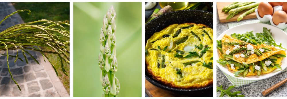 asperges sauvages gr&egrave;ce
